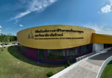 มวล.เปิดตัว ‘SIRIN MUSEUM’ พิพิธภัณฑ์ธรรมชาติวิทยาเทพรัตนราชสุดาฯ ณ ม.วลัยลักษณ์