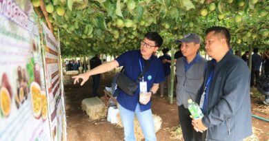 สวพส. ขยายองค์ความรู้ปรับระบบเกษตรบนพื้นที่สูง สู่เกษตรที่เป็นมิตรกับสิ่งแวดล้อมลดการเผา แก้ปัญหา PM 2.5 อย่างยั่งยืนในอำเภอแม่แจ่ม