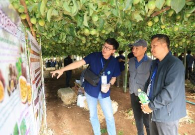 สวพส. ขยายองค์ความรู้ปรับระบบเกษตรบนพื้นที่สูง สู่เกษตรที่เป็นมิตรกับสิ่งแวดล้อมลดการเผา แก้ปัญหา PM 2.5 อย่างยั่งยืนในอำเภอแม่แจ่ม