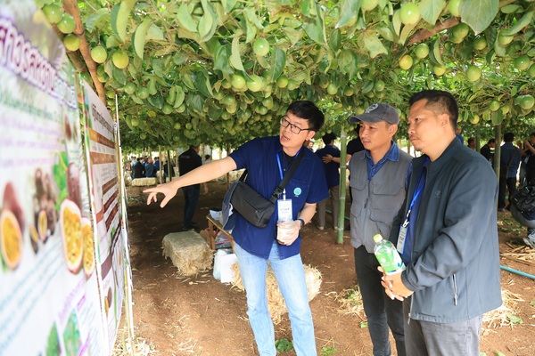 สวพส. ขยายองค์ความรู้ปรับระบบเกษตรบนพื้นที่สูง สู่เกษตรที่เป็นมิตรกับสิ่งแวดล้อมลดการเผา แก้ปัญหา PM 2.5 อย่างยั่งยืนในอำเภอแม่แจ่ม