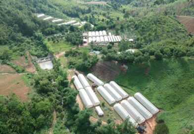 “สวพส.ส่งเสริมแหล่งน้ำขนาดเล็ก แก้ภัยแล้งพื้นที่สูง”