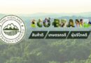 ECO-BRAND กาแฟใต้ร่มไม้ กับภารกิจคืนลมหายใจให้ผืนป่าและผู้คน