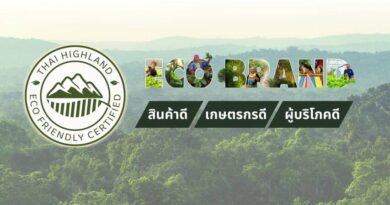 ECO-BRAND กาแฟใต้ร่มไม้ กับภารกิจคืนลมหายใจให้ผืนป่าและผู้คน