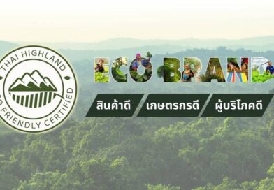 ECO-BRAND กาแฟใต้ร่มไม้ กับภารกิจคืนลมหายใจให้ผืนป่าและผู้คน