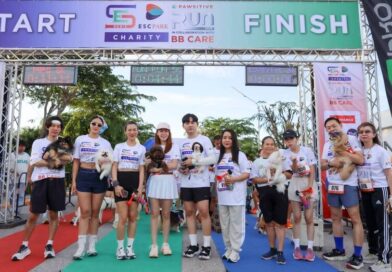 SE Biz Group จัดกิจกรรม “SE Biz Charity Pawsitive Run 2026” รวมพลังคนรักสัตว์ ส่งต่อความช่วยเหลือสู่สุนัขและแมวจรจัด