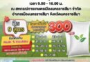 กรมการค้าภายใน เดินหน้าโครงการ “ธงเขียวราคาประหยัดพลัส” ช่วยเกษตรกรและประชาชนลดค่าครองชีพ