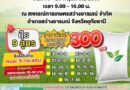 กรมการค้าภายในเดินหน้าโครงการ “ธงเขียวราคาประหยัดพลัส” ช่วยเกษตรกรและประชาชนลดค่าครองชีพ